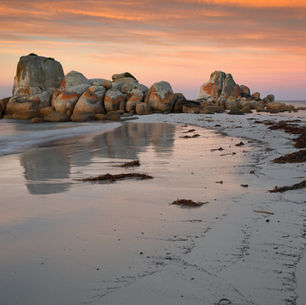 Sunset over the Bay of Fires beach in Tasmania with orange sky, lichen-covered rocks, and reflections on wet sand.