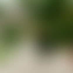 Spring Wedding at Old Rectory Killyman