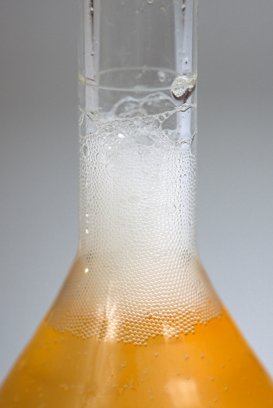 Beer in a vessel