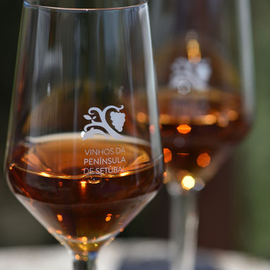 ESPECIAL PROWINE: Vinho de Setúbal Wines