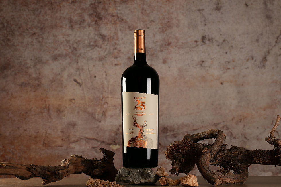 Do Merlot de três safras ao clarete: Larentis leva duas expressões do vinho tinto à ProWine SP