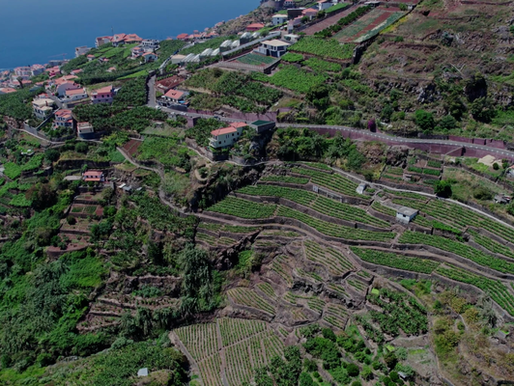 World Wine traz Enólogo da Henriques & Henriques, uma das casas mais tradicionais do Vinho da Madeira apresenta seus rótulos com alta pontuação