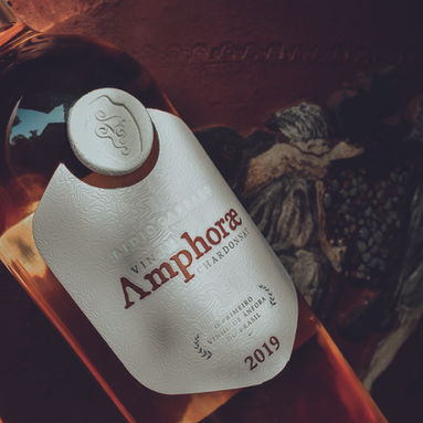 Wine South America: Lidio Carraro relembra trajetória de vinho oficial da Copa do Mundo e lançou rótulo inédito