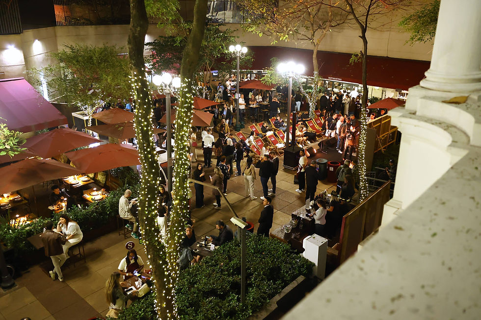 Vinhos de Diferentes Tipos e Regiões, Música ao Vivo e Boa Comida: Pátio Higienópolis realiza nova edição de Festival de Vinhos 