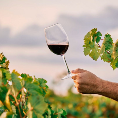 ABS-RS desvenda os segredos dos vinhos italianos - Vinhas e Vinhos da Itália, com imersão neste sábado, dia 18 de julho, em Pinto Bandeira