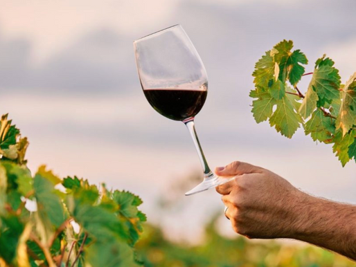 ABS-RS desvenda os segredos dos vinhos italianos - Vinhas e Vinhos da Itália, com imersão neste sábado, dia 18 de julho, em Pinto Bandeira