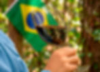Brasil ganha Dia Nacional do Vinho em meio ao maior volume de produção já registrado no país