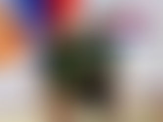 Visite Noronha anuncia nova etapa de roadshow nacional