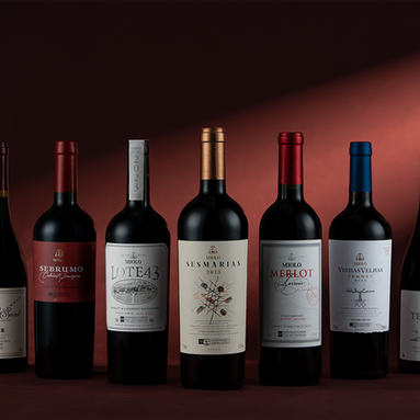 Miolo Wine Group leva 80 rótulos de cinco terroirs para a ProWine São Paulo