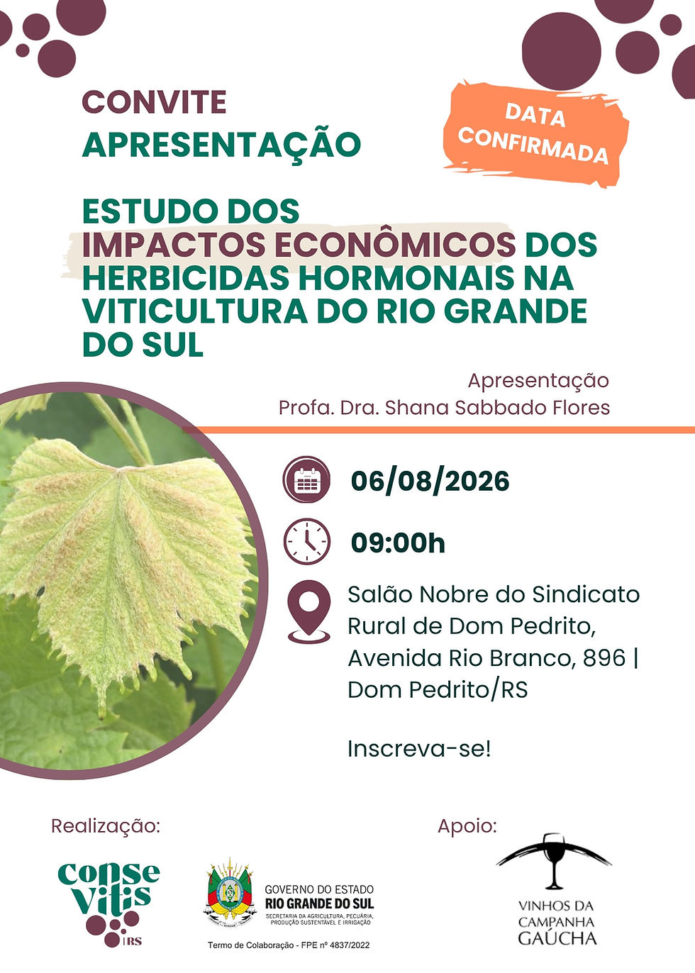 Pesquisa inédita revelará impactos econômicos da deriva de herbicidas na vitivinicultura gaúcha