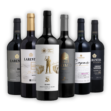 Clubes de vinhos vão além das assinaturas e apostam em experiências para fortalecer relacionamento e criar comunidades de consumidores