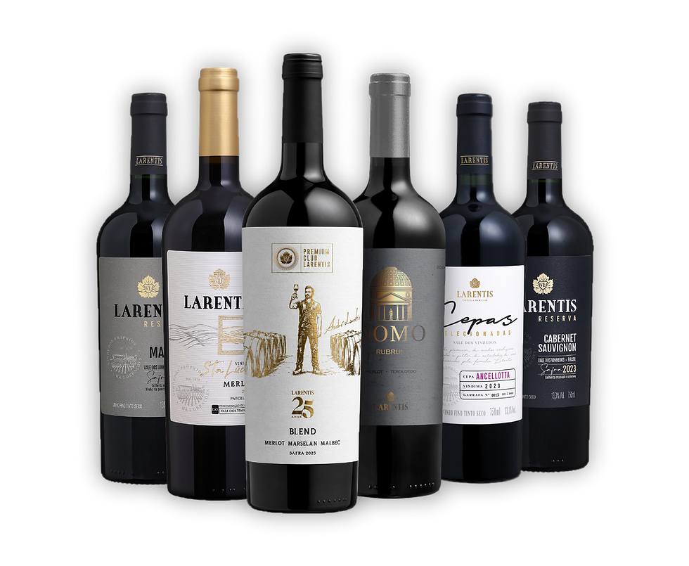 Clubes de vinhos vão além das assinaturas e apostam em experiências para fortalecer relacionamento e criar comunidades de consumidores