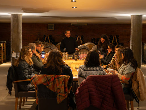 Projeto Imagem leva jornalistas e influenciadores para imersão na Campanha Gaúcha