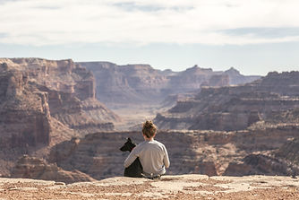 Dog Hiking Services in Los Angeles