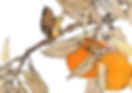 iStock-486308276_edited.jpg