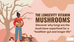 The Longevity Vitamin: Why Mushrooms Deserve a Place on Your Plate