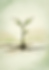 3_20260515_191100_0000.png