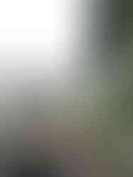 Puente de la Libertad Budapest