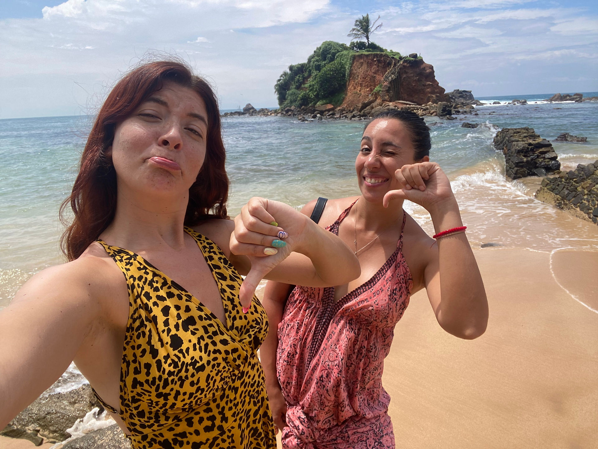 Parrot rock no pudimos cr5uzar