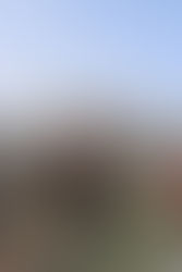 Guía Completa de Estambul