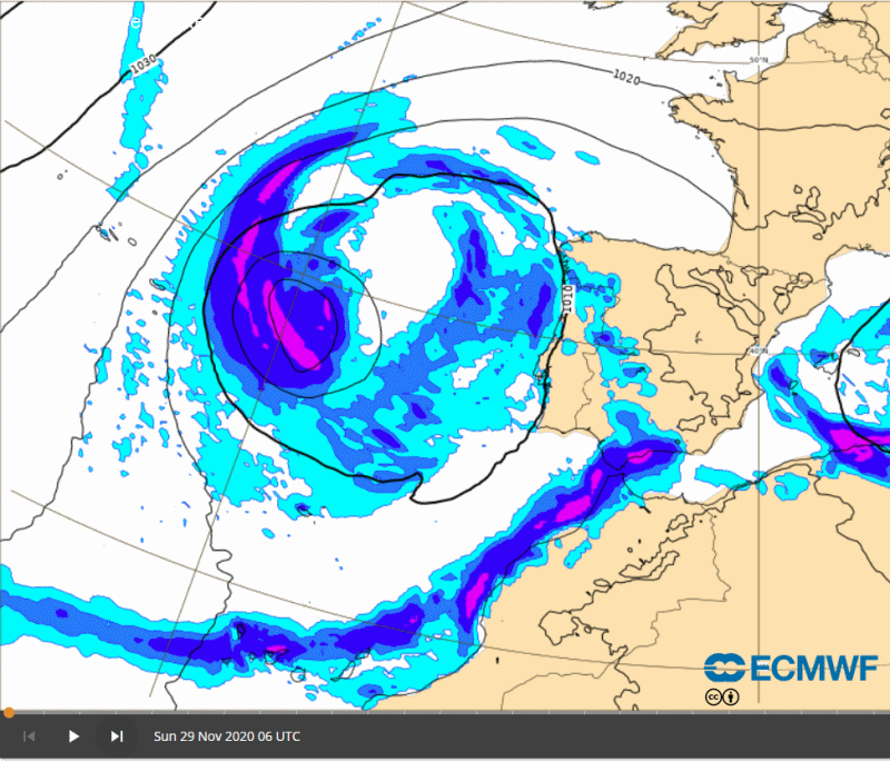 ECM.gif