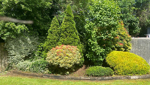 eden property services 1