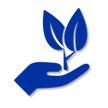Pest Control | San Antonio, TX