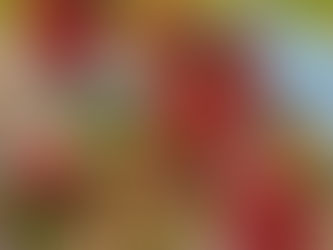 WATERMELON MINT MOJITO