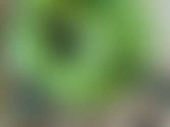 💚THE ULTIMATE GREEN CHUTNEY/ GREEN COCONUT 🥥 CHUTNEY💚