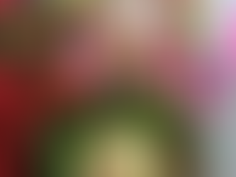 Navratri Day 6: Ksheeranna ❤️