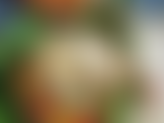 Navratri Day 3 Oct 2024: Ghee Rice🩶