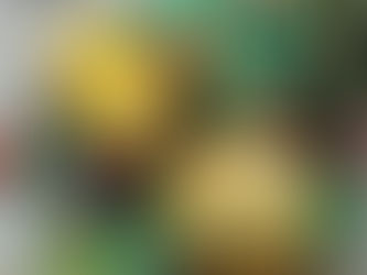 PINEAPPLE FRIED RICE