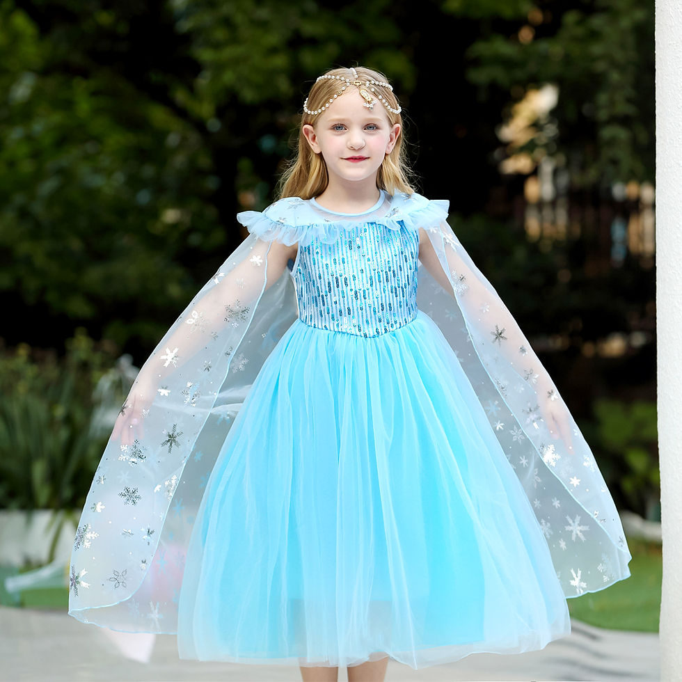 Elsa Princess Dress for Girl Birthday Party