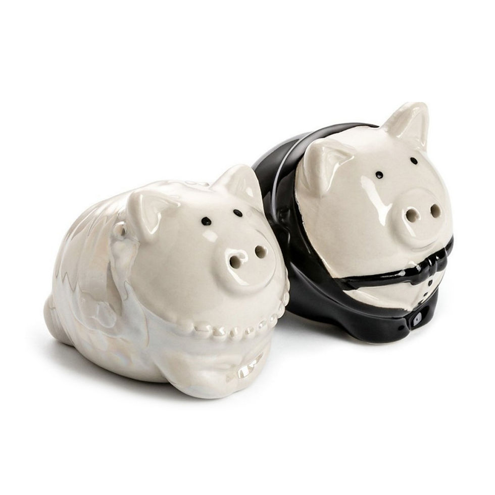 Bride Groom Pig Ceramic Salt & Pepper Shakers Set for Wedding Party Gifts