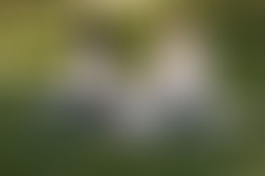 10 Health Benefits of Meditation: A Journey to Holistic Wellness