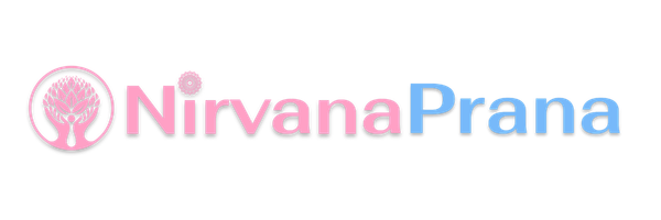 Logo - NirvanaPrana - Grey drop shadow.png
