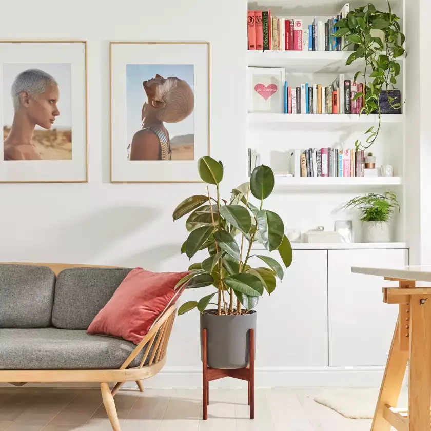 Less Stress With Every Breath: Incorporating Plants in Your Projects