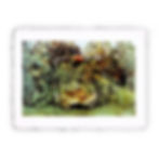 Stampa Pitteikon dell'opera di Henri Rousseau "Il leone affamato si getta sull'antilope"