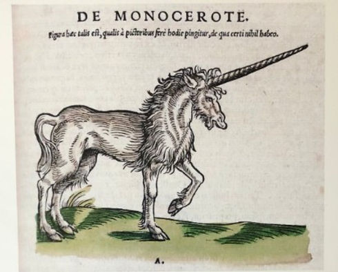 unicorno.jpg