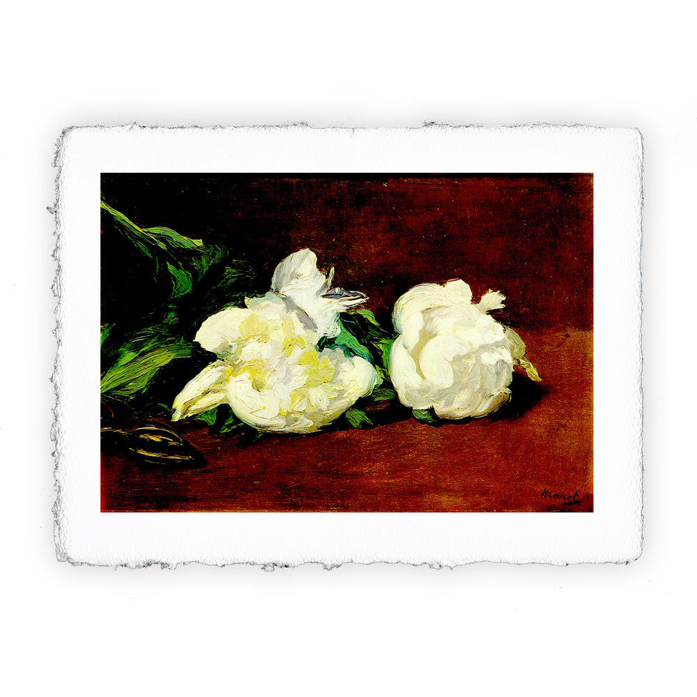 Stampa Pitteikon dell'opera di Édouard Manet "Due peonie bianche e un paio di forbici "