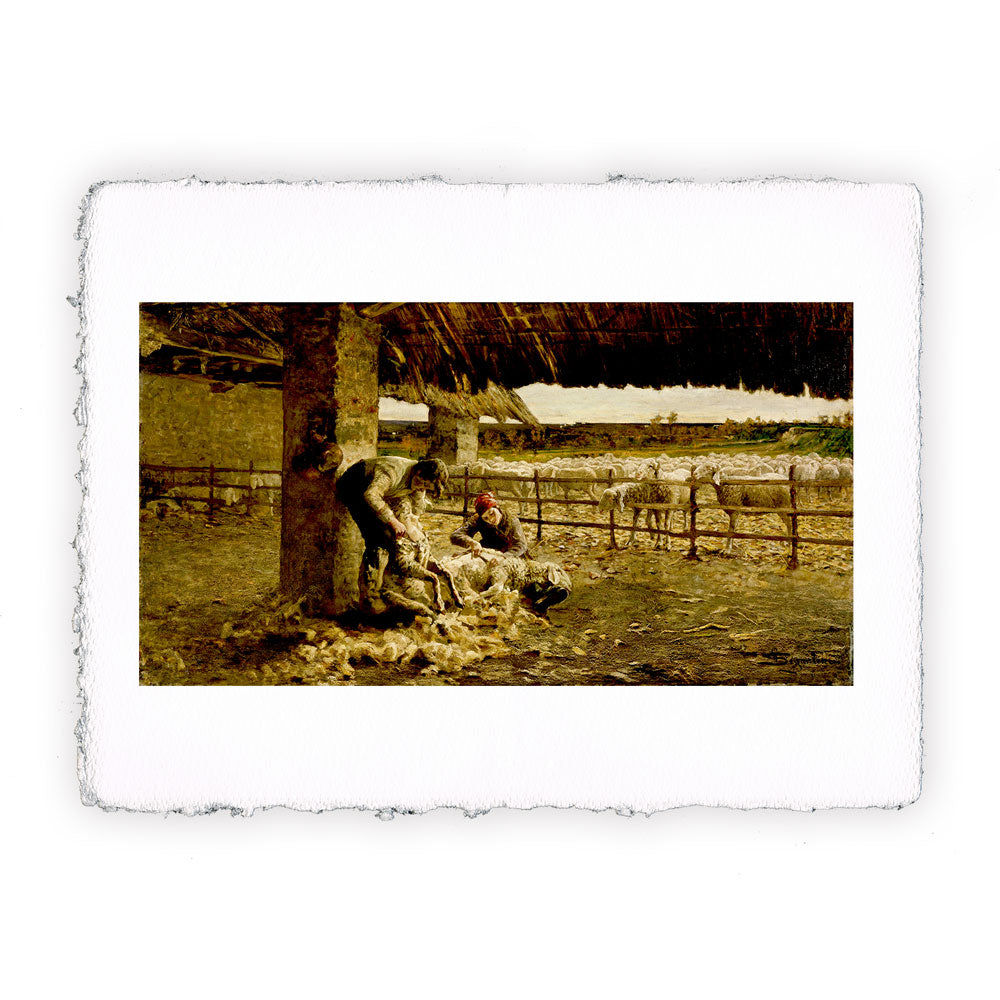 Stampa Pitteikon dell'opera di Giovanni Segantini "La tosatura delle pecore"