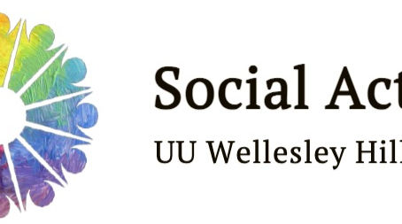 Social Action Council Update: February Edition