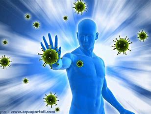 Renforcer l'immunité