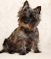Wanda's pics by Patricia Roseman 088.jpg