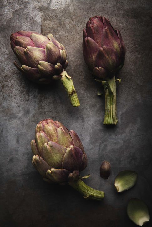 Artichauts en studio