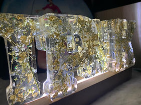 WhatsApp Image 2026-02-17 at 22.52.04.jpeg