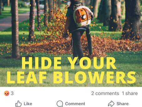 Ask Not For Whom the Leaf Blows