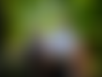 Fact-Checking Fasano