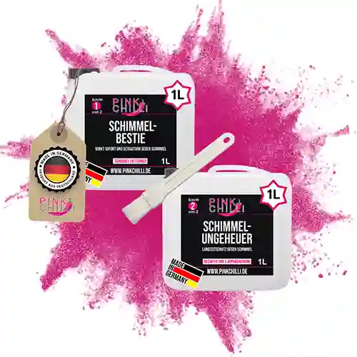 2 x 1L Schimmel-Set | Extra starker Schutz in Industriequalität | Desinfektion