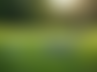 Top Golf Equipment for Amateur Players in 2023